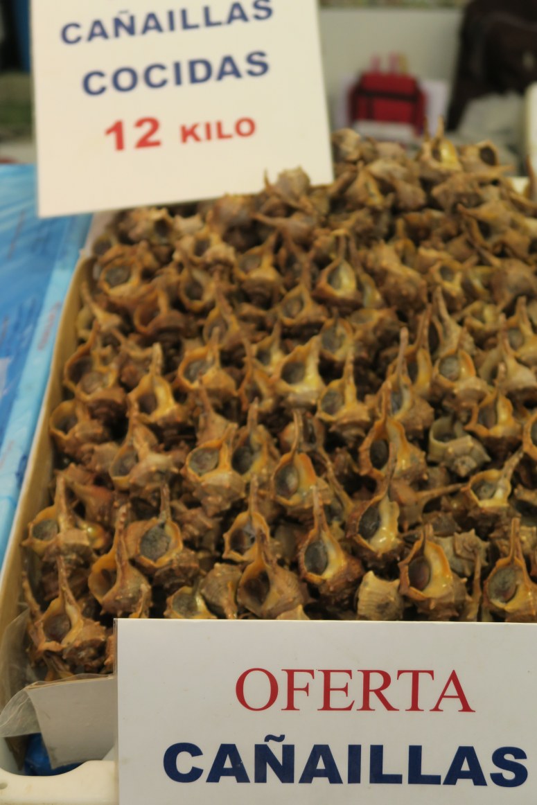 June 17 Cadiz JPBERRY IMG_1867